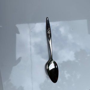 Oneida Lasting Rose Deluxe Stainless Modern Hollow Teaspoon